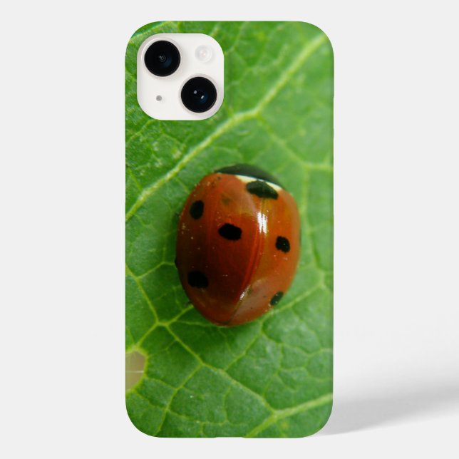 Ladybug Case-Mate iPhone Hülle (Rückseite)