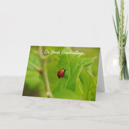 Ladybug Climbing to Success Abschluss Card Karte