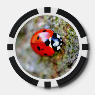 Ladybug Crawling auf Tree Trunk Pokerchips