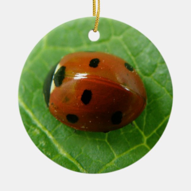 Ladybug Custom Geburtstag Keramik Ornament (Vorne)