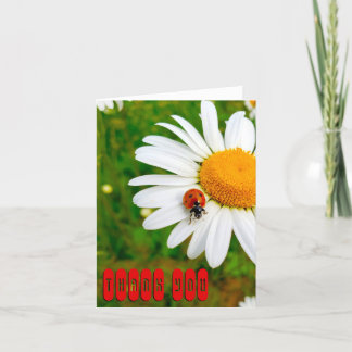 Ladybug & Daisies Dankeskarte