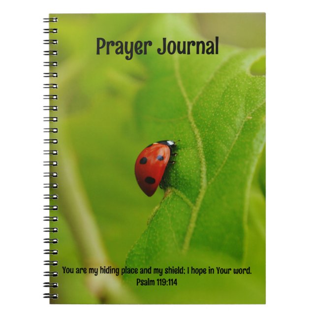 Ladybug dans la Bible Feuille Verse Prayer Journal (Devant)