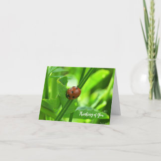 Ladybug - Denken Sie an Ihre Karte