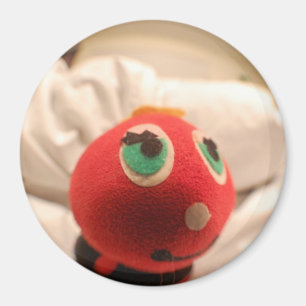 Ladybug Face Magnet