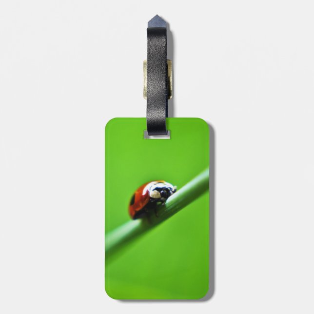 Ladybug Foto Gepäckanhänger (Rückseite vertikal)