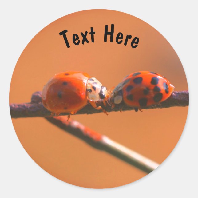 Ladybug Friends Nature Personalisiert Runder Aufkleber (Vorderseite)