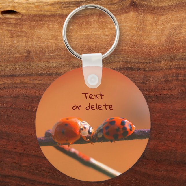Ladybug Friends Nature Personalisiert Schlüsselanhänger (Vorderseite)