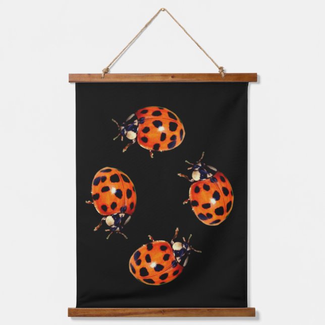 Ladybug Go Round Abstract Wandteppich Mit Holzrahmen (Vorderseite)