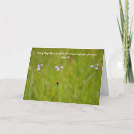 Ladybug Grace Scripture Card John 1:16 Karte