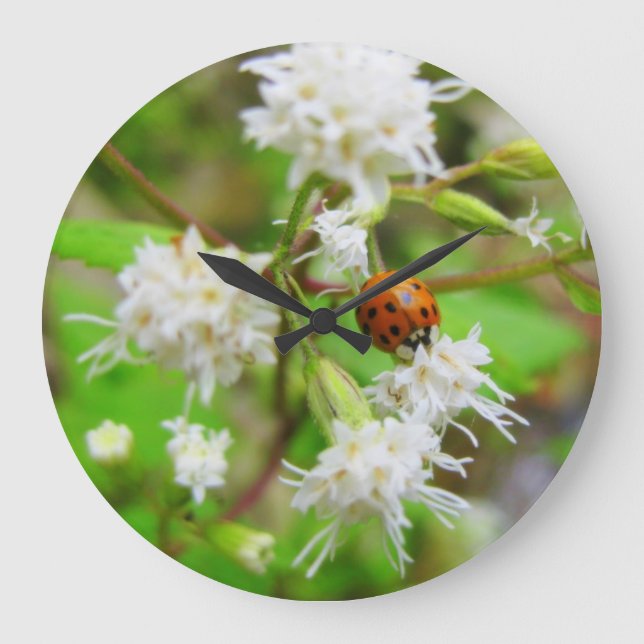Ladybug Große Wanduhr (Vorderseite)