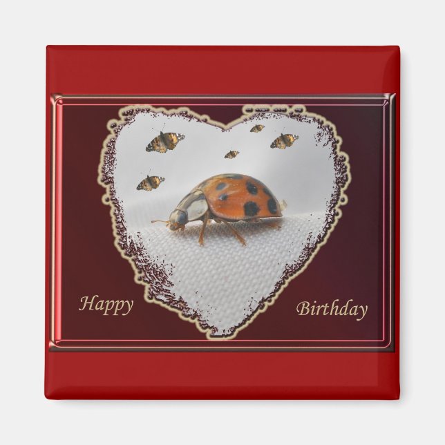 Ladybug Happy Birthday Magnet (Vorne)