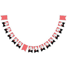 Ladybug Happy Birthday Wimpelkette