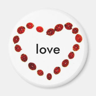 Ladybug Heart Liebe Magnet