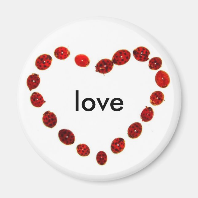 Ladybug Heart Love Magnet (Devant)
