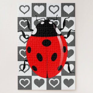Ladybug & Herz