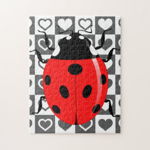 Ladybug & Herz -