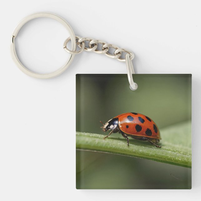 Ladybug Insect Schlüsselanhänger (Vorderseite)