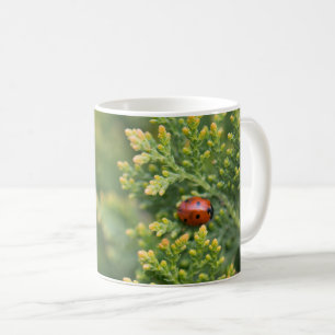 Ladybug Kaffeetasse