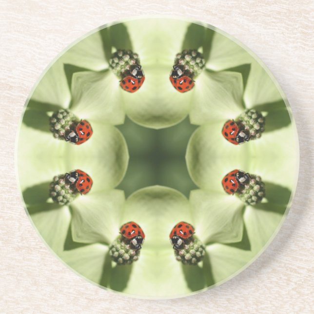 Ladybug Kaleidoscope Dessous de verre animal (Devant)