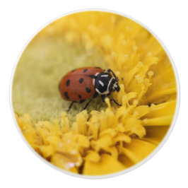 Ladybug Keramikknauf