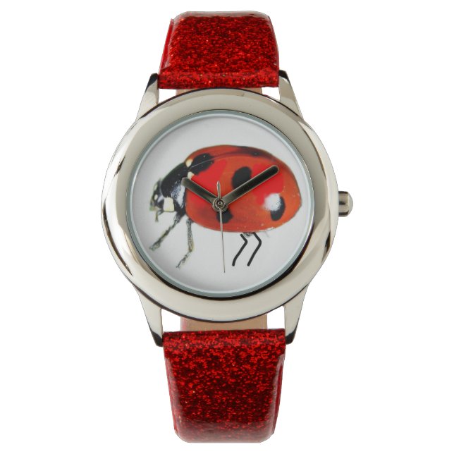 Ladybug Kids' Watch Armbanduhr (Vorderseite)