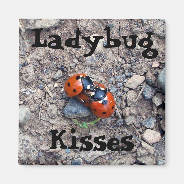 Ladybug Kisses Magnet (Vorne)