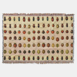 Ladybug Ladybird Beetle Insect Bug Decke