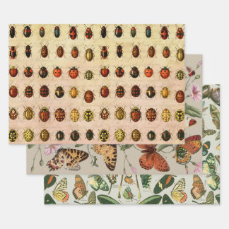 Ladybug Ladybird Beetle Insect Bug Geschenkpapier Set