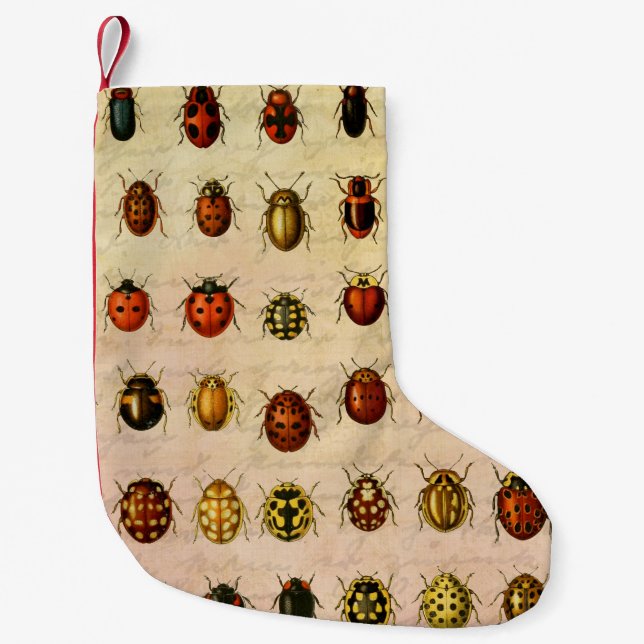 Ladybug Ladybird Beetle Insect Bug Kleiner Weihnachtsstrumpf (Vorderseite)