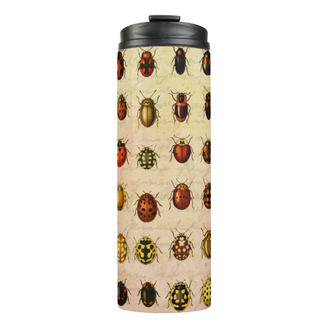Ladybug Ladybird Beetle Insect Bug Thermosbecher (Vorderseite)