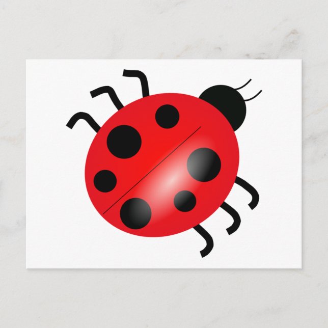Ladybug - Ladybird Postkarte (Vorderseite)
