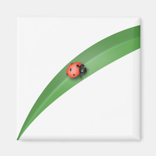 Ladybug Leaf Magnet