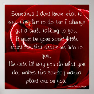 Ladybug-Liebe mit Gedicht Poster