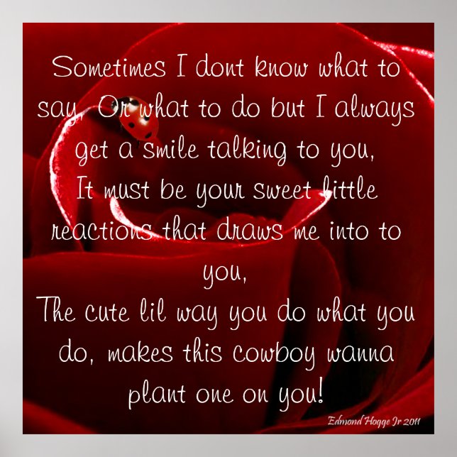 Ladybug-Liebe mit Gedicht Poster (Vorne)