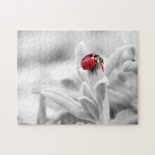Ladybug Macro Monochrom, Jigsaw Puzzle