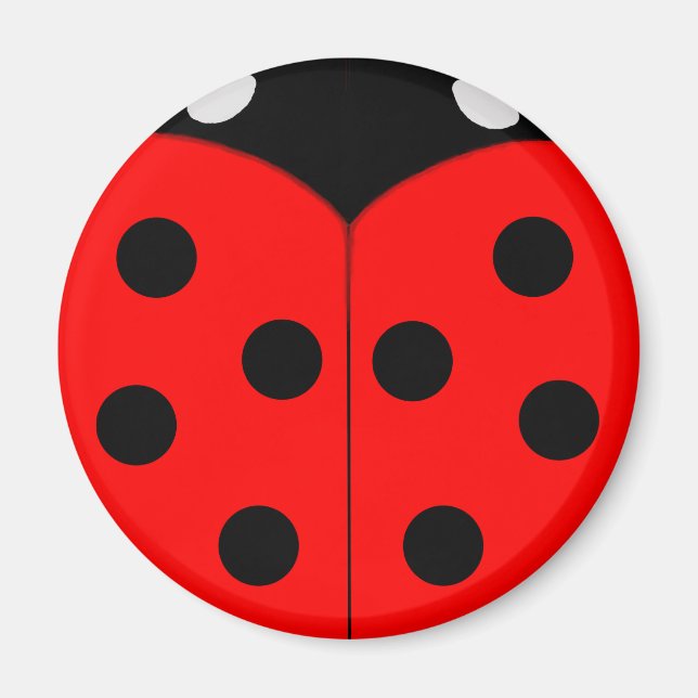 Ladybug Magnete Magnet (Vorne)