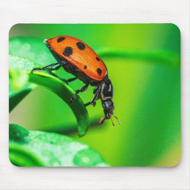 Ladybug Mouse Pad | Nature Desk Setup Mousepad (Vorne)