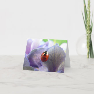 LadyBug Notecard Karte
