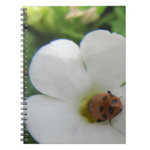 Ladybug Notizblock