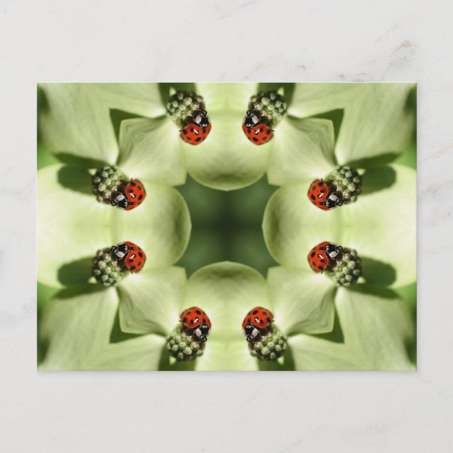 Ladybug on Blume Kaleidoskop Art Postcard Postkarte (Vorderseite)