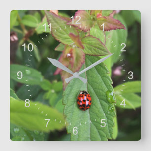 ladybug on leaf quadratische wanduhr