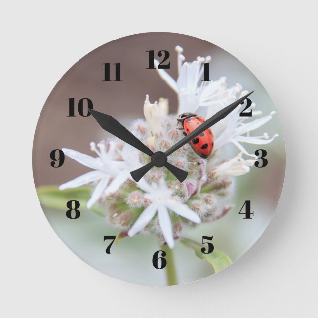 Ladybug on Silverleaf Phacelia Flowers Wallclock Runde Wanduhr (Vorderseite)