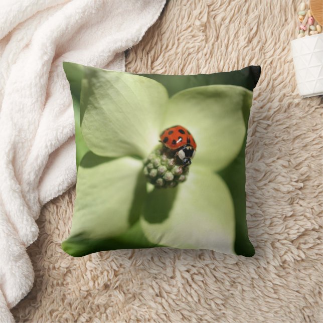 Ladybug On White Dogwood Flower  Kissen (Decke)