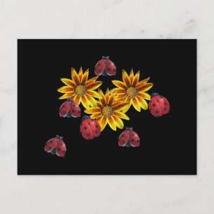 Ladybug Party Postkarte