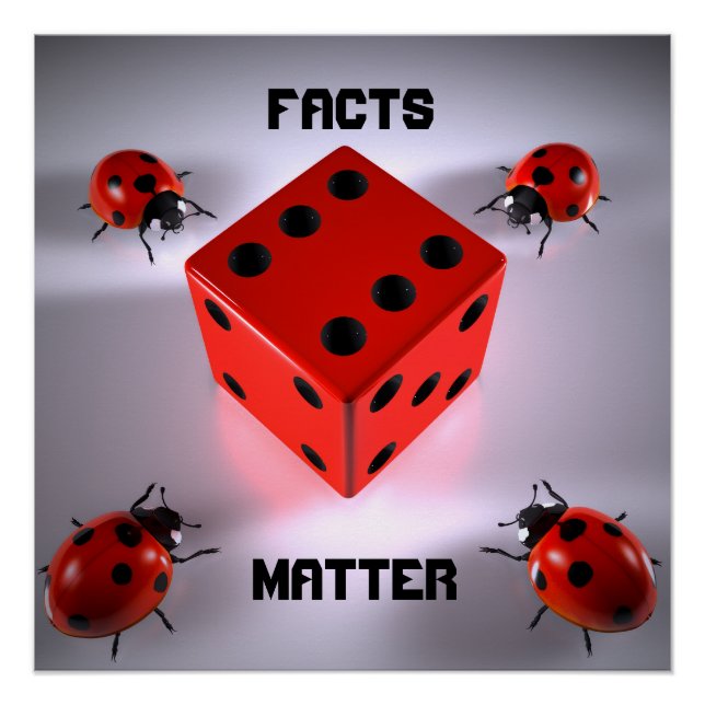 Ladybug Poster (Vorderseite)