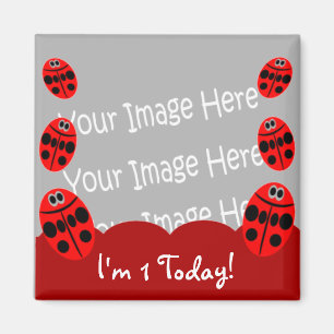 Ladybug premier anniversaire Photo Magnet Party Fa