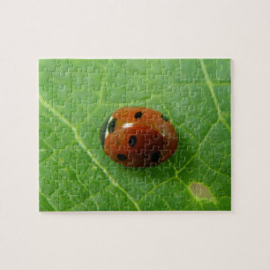 Ladybug Puzzle