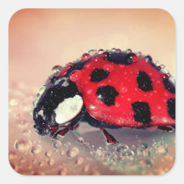 Ladybug Quadratischer Aufkleber