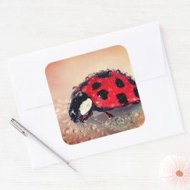 Ladybug Quadratischer Aufkleber