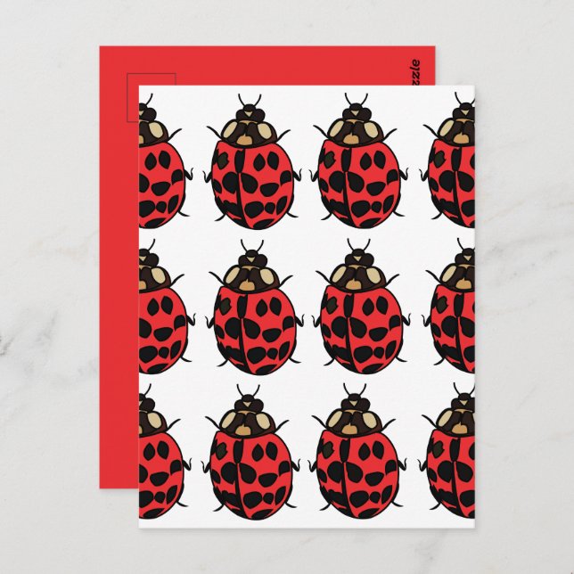Ladybug Red Black Insect Ladybug Postkarte (Vorne/Hinten)